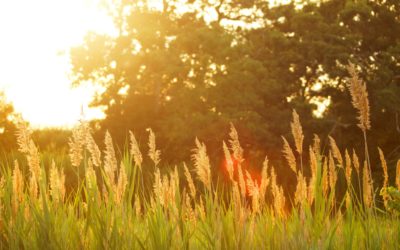 The August Insurance Check-In: Before Summer Winds Down, Take 20 Minutes to Protect What You Own