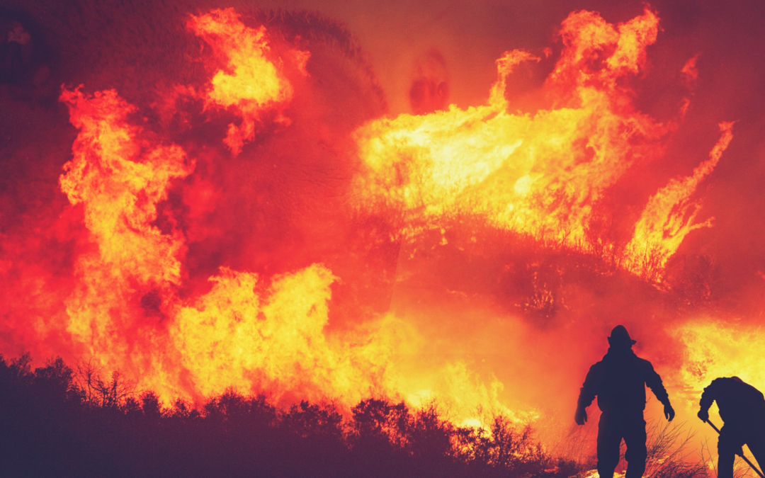 Two firefighters silhouetted against a large wildfire with tall flames and dense smoke filling the sky above a tree line.